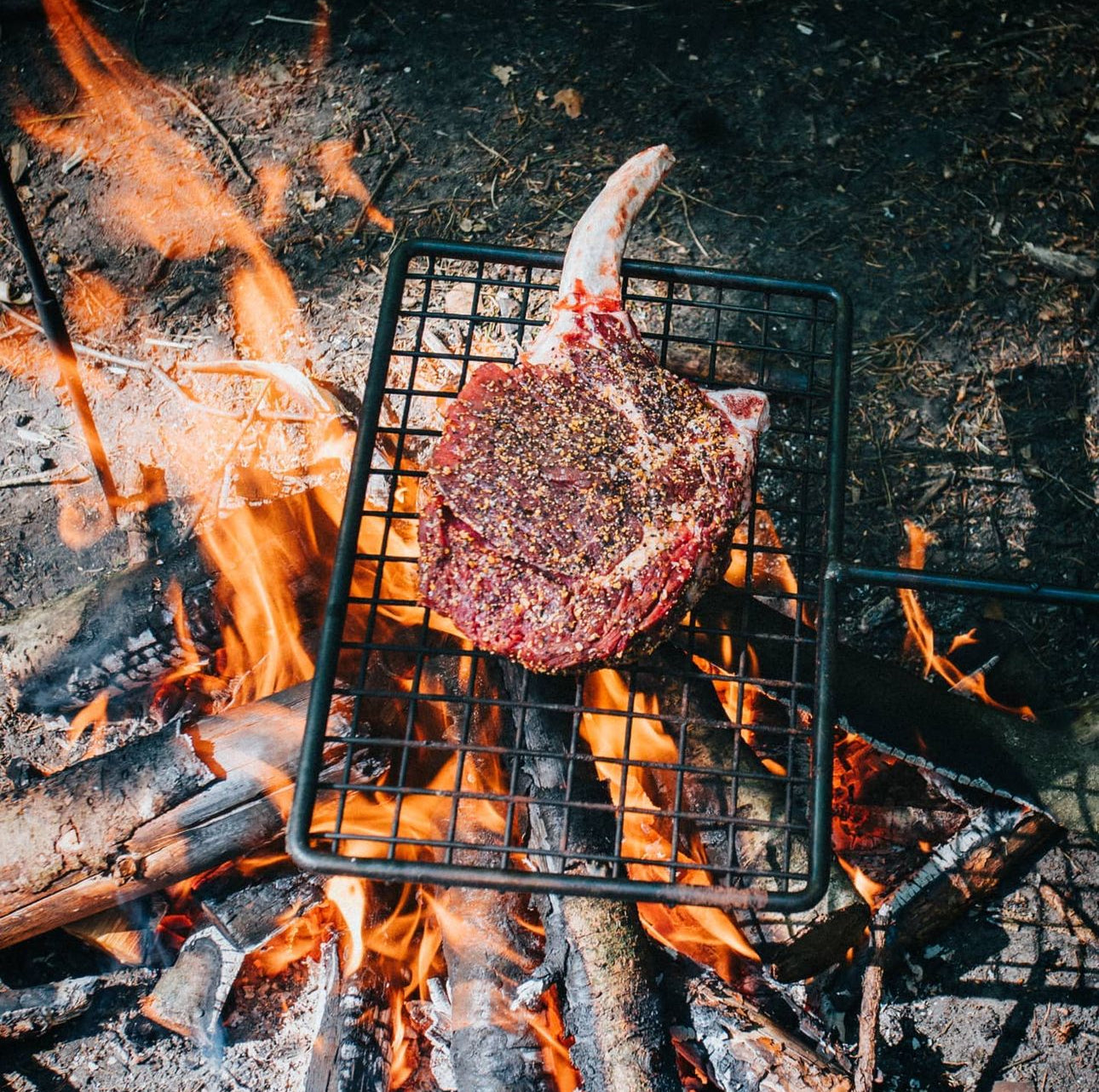 Fire anchor  Cooking Swing Arm. Bushcraft and Camping Cooking Set for Hanging Billy Cans, Kettles with a Grill Arm