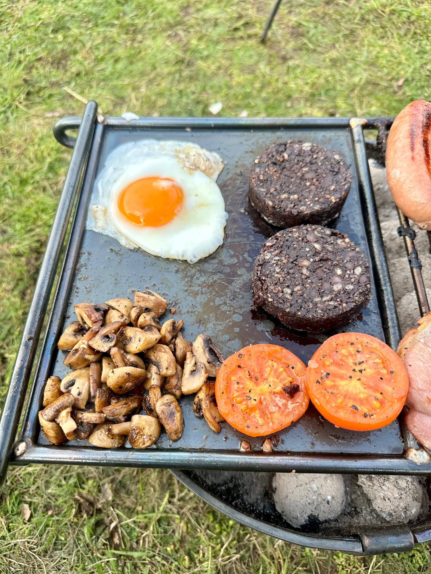 Overland BBQ Grill Heavy Gauge Steel with Skillet Plate